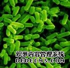 腹泻是什么原因引起的？