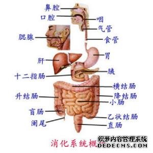 结肠炎怎么回事？